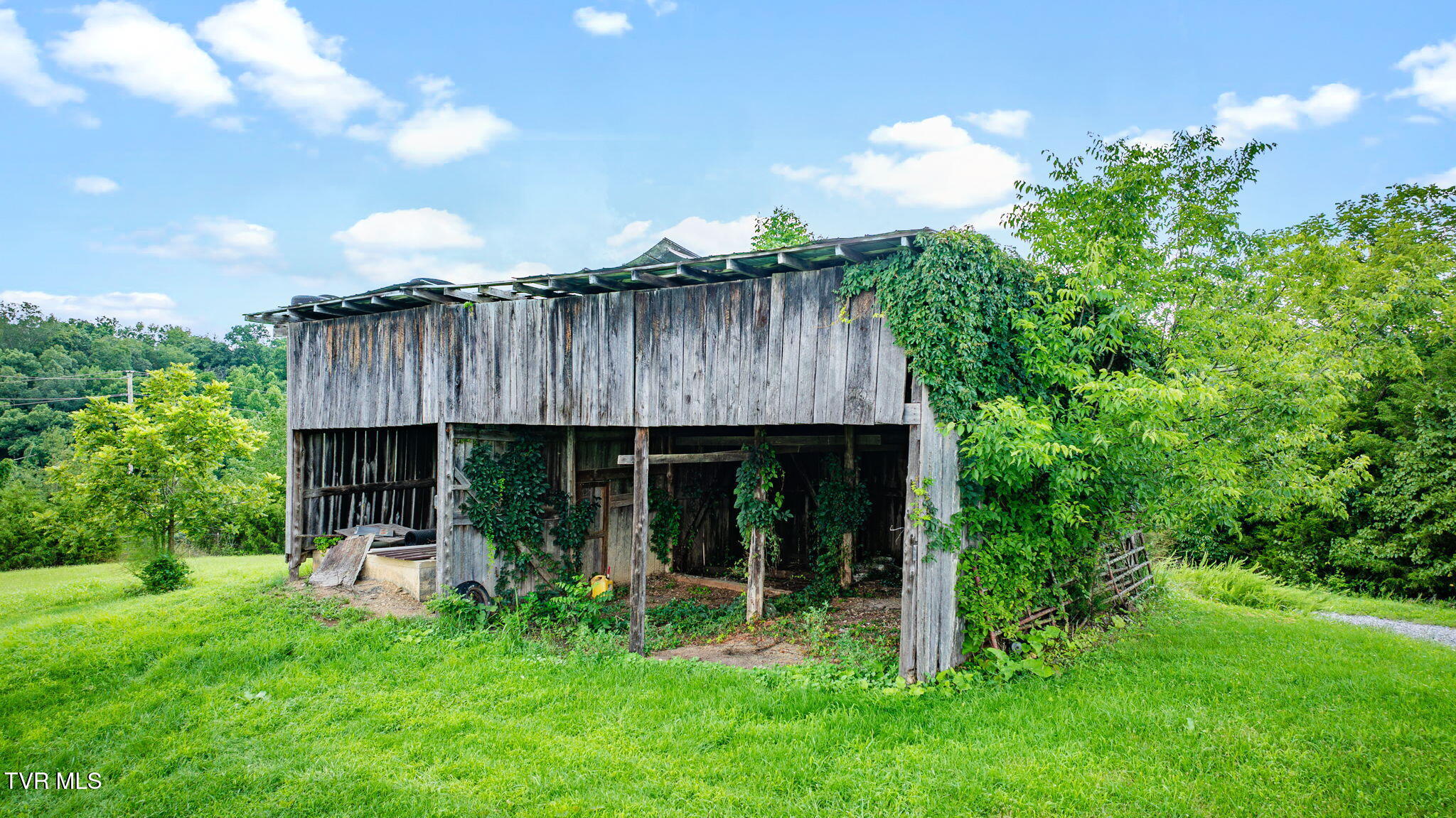 1570 Carl Doty Road Afton, TN 37616 - Photo 66 of 74 116