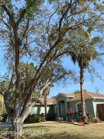 a view of a water fountain and a tree