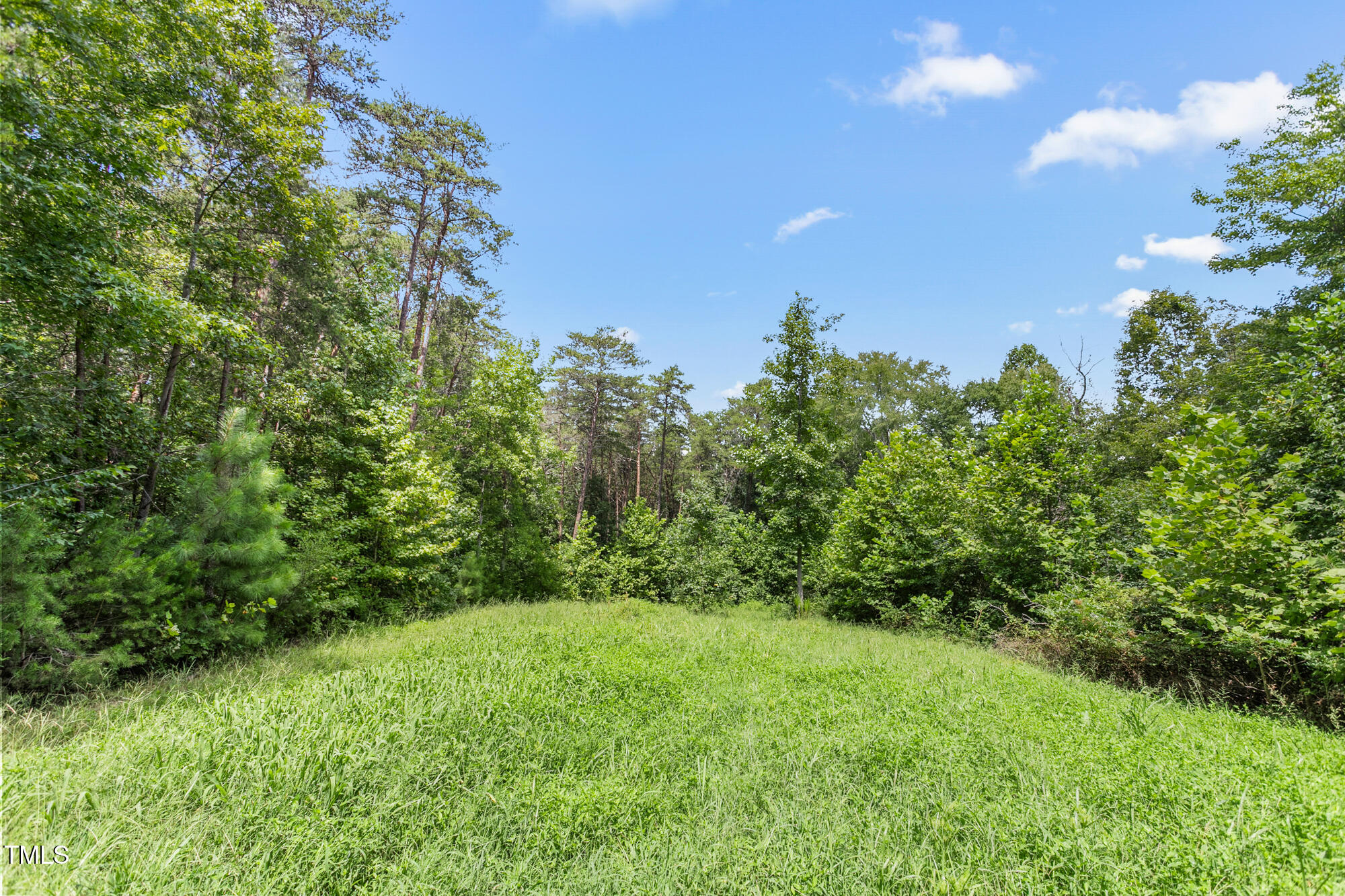 1312 Chigger Ridge Road Providence, NC 27315 - Photo 18 of 41 1312 Chigger Ridge Road-17