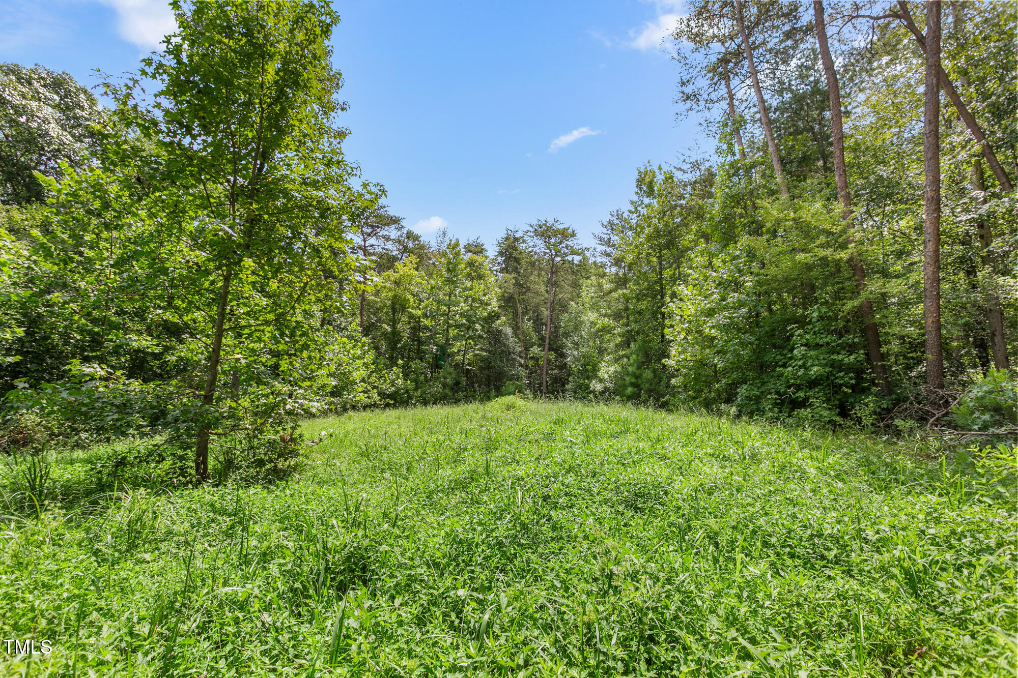 1312 Chigger Ridge Road Providence, NC 27315 - Photo 19 of 41 1312 Chigger Ridge Road-18
