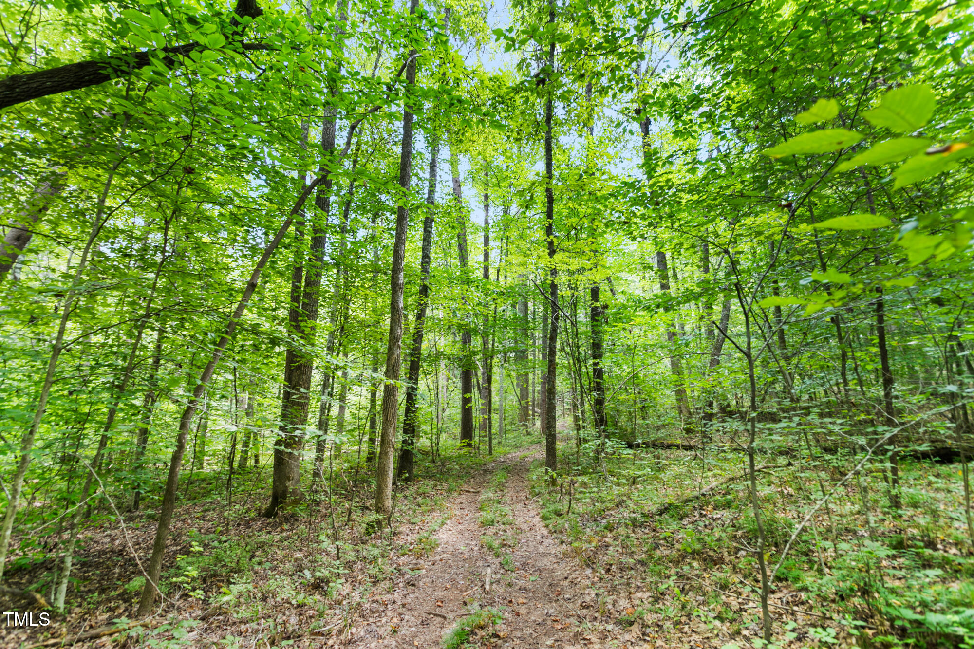1312 Chigger Ridge Road Providence, NC 27315 - Photo 20 of 41 1312 Chigger Ridge Road-20