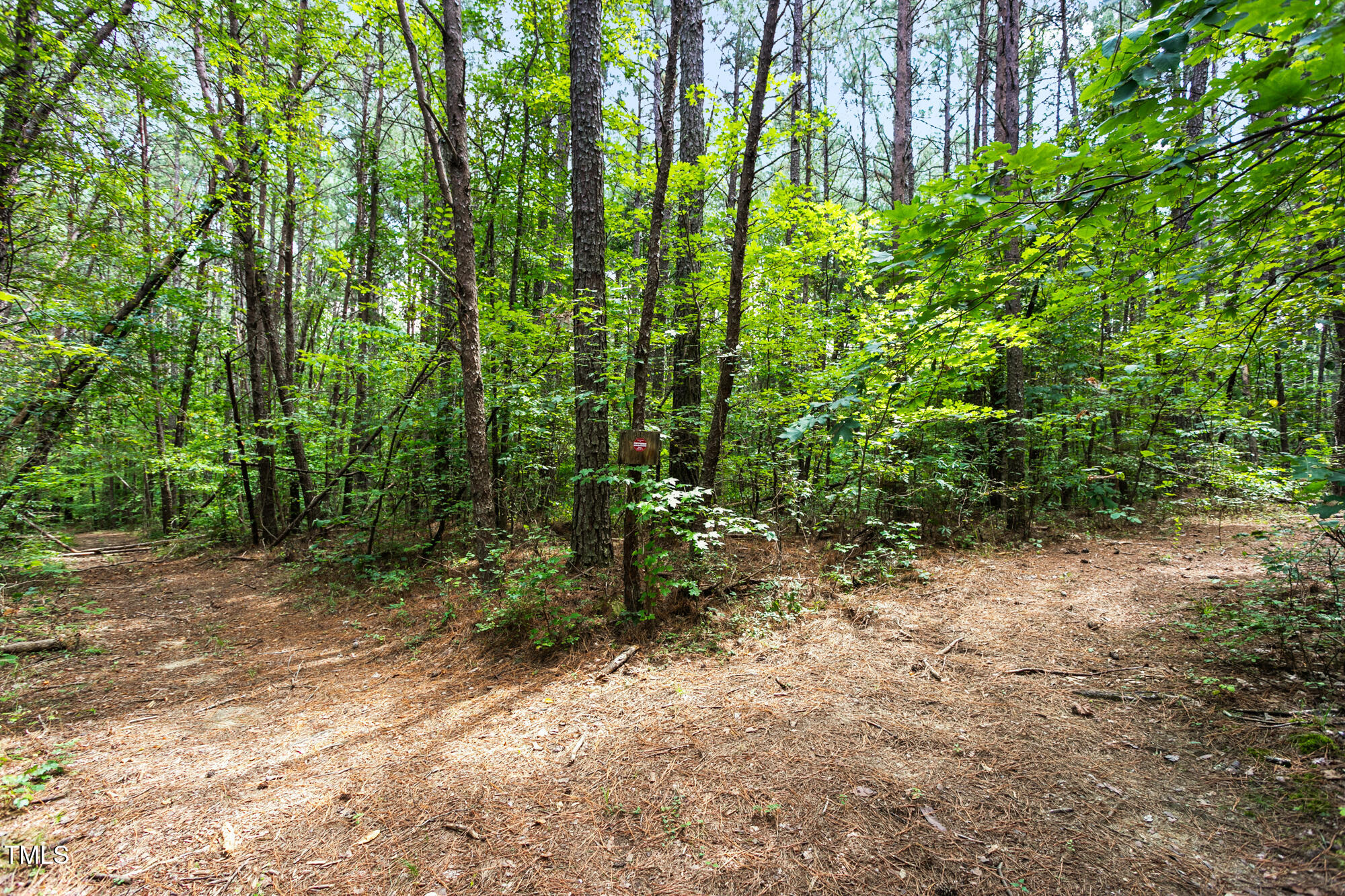 1312 Chigger Ridge Road Providence, NC 27315 - Photo 21 of 41 1312 Chigger Ridge Road-21