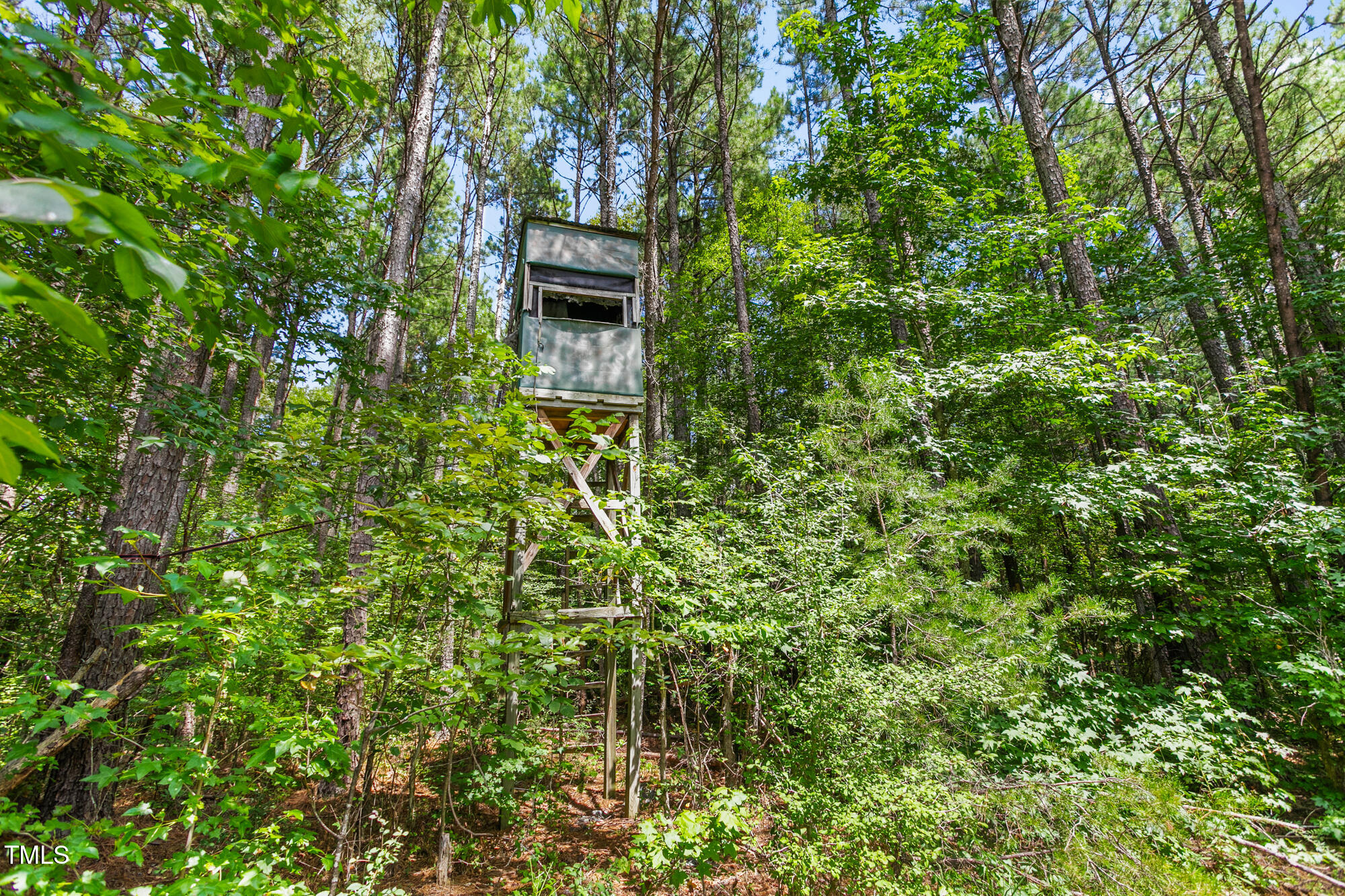 1312 Chigger Ridge Road Providence, NC 27315 - Photo 23 of 41 1312 Chigger Ridge Road-23