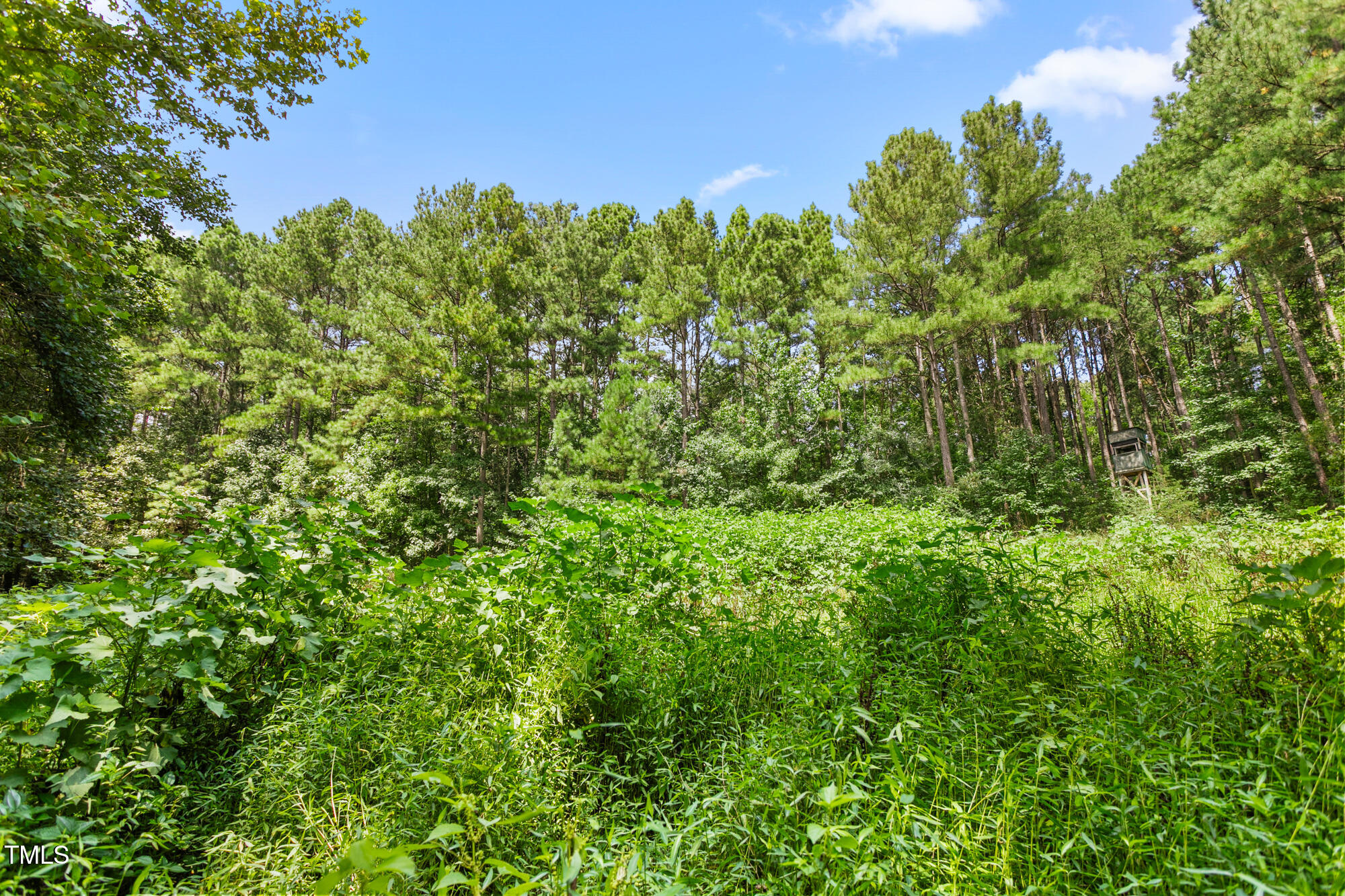 1312 Chigger Ridge Road Providence, NC 27315 - Photo 24 of 41 1312 Chigger Ridge Road-24