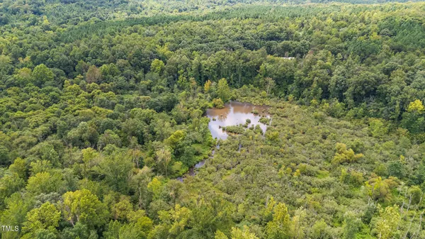a view of a lake in a forest