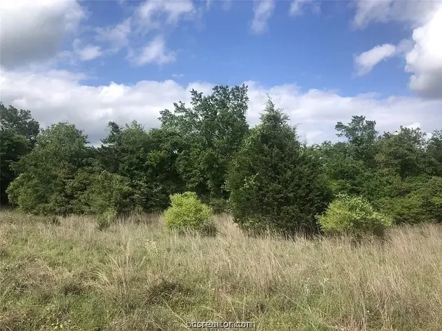 $63,092 | 4431 Hampshire Lane, Franklin, TX 77856