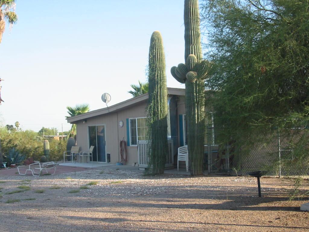 1383 South Bowman Road Apache Junction, AZ 85119 - Photo 4 of 4 Back patio area