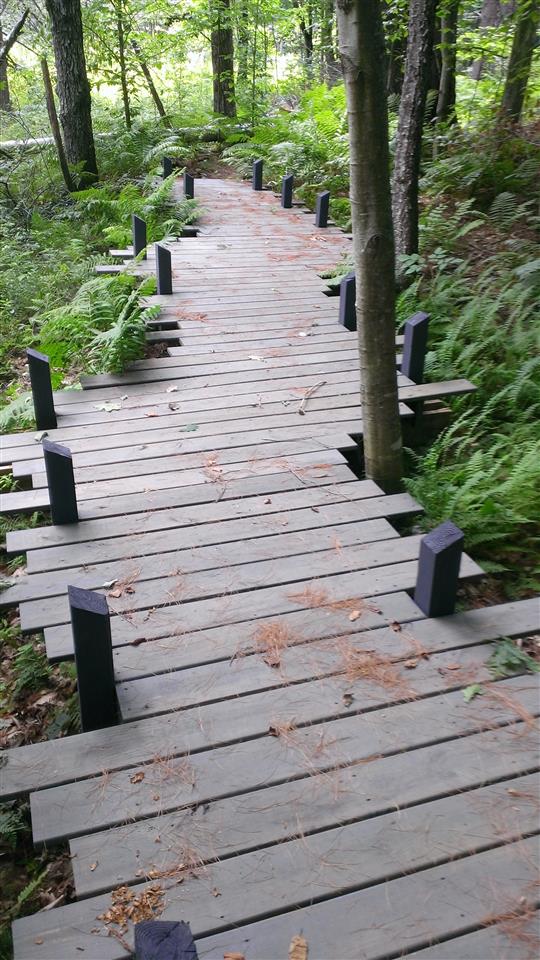 419 Bear Mountain Road Wallingford, VT 05742 - Photo 21 of 32 Gallery Image 21