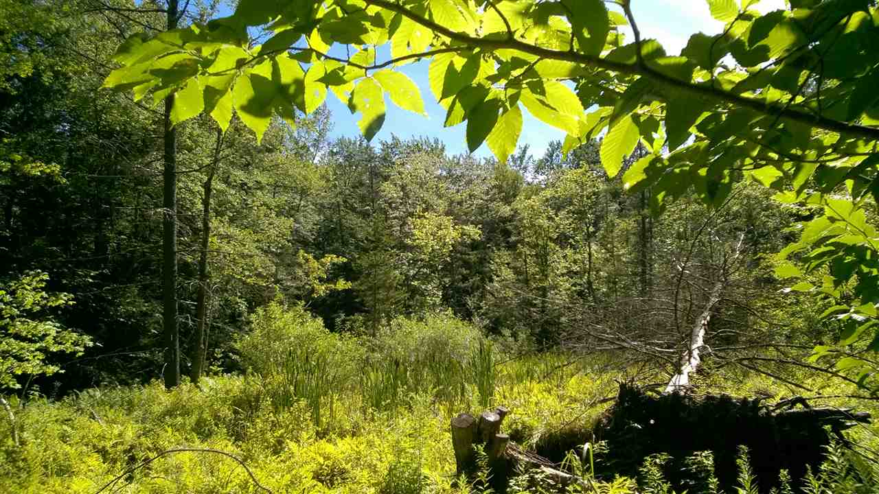 419 Bear Mountain Road Wallingford, VT 05742 - Photo 25 of 32 Gallery Image 25
