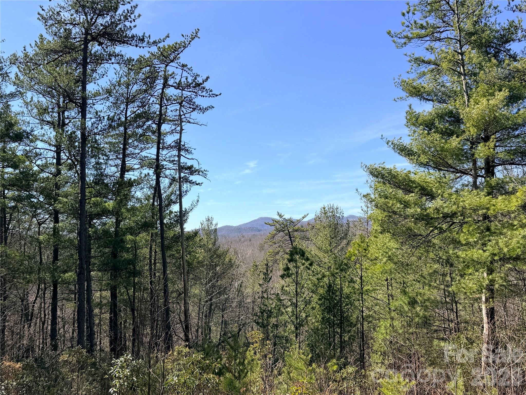 Tbd Hidden Creek Road, Unit 18 Deep Gap, NC 28618 - Photo 1 of 26