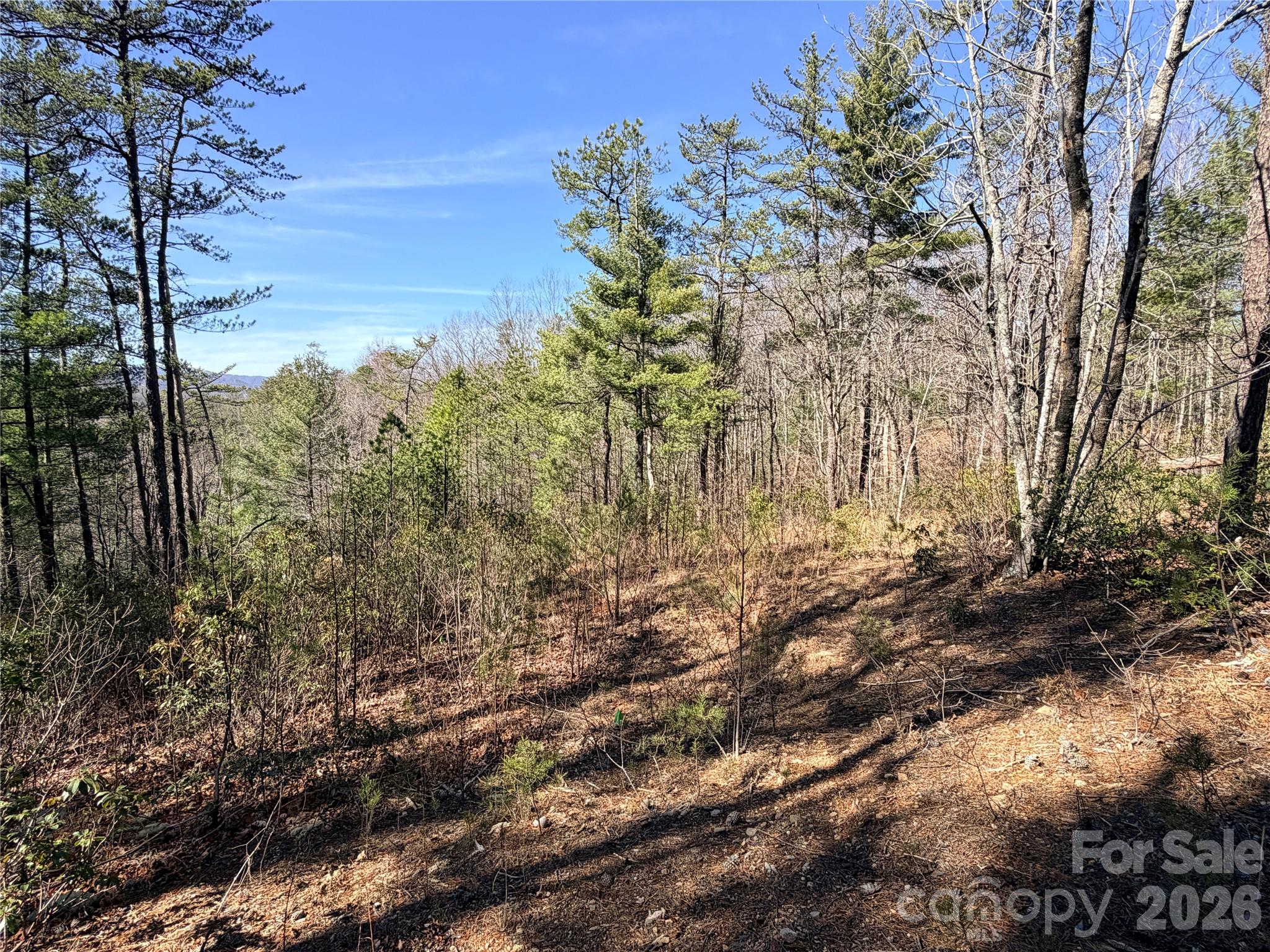 Tbd Hidden Creek Road, Unit 18 Deep Gap, NC 28618 - Photo 11 of 25 Gallery Image 11