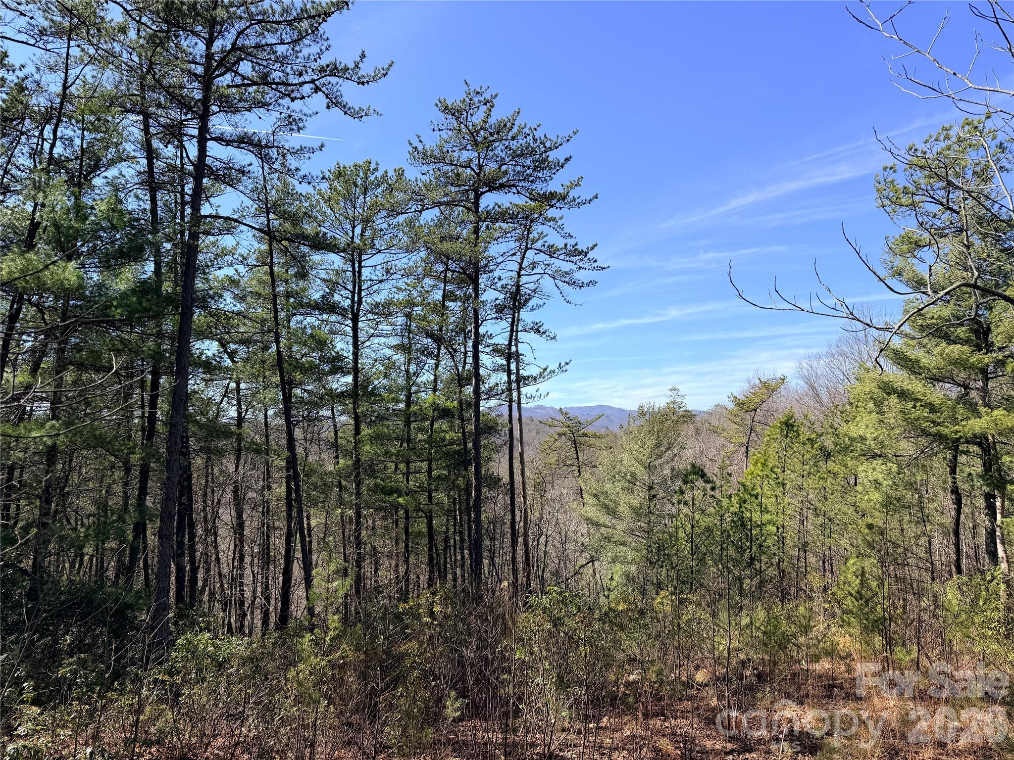 Tbd Hidden Creek Road, Unit 18 Deep Gap, NC 28618 - Photo 12 of 25 Gallery Image 12