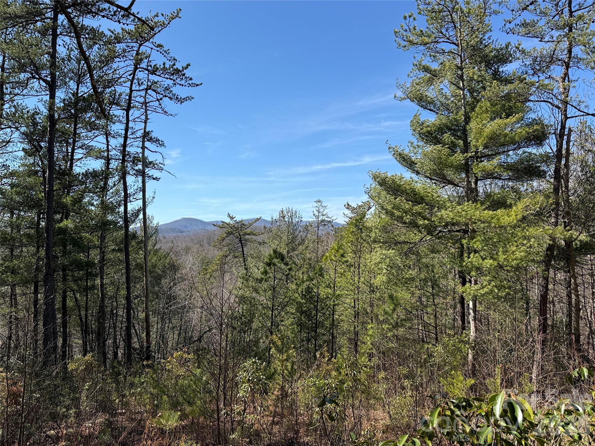 Tbd Hidden Creek Road, Unit 18 Deep Gap, NC 28618 - Photo 13 of 25 Gallery Image 13