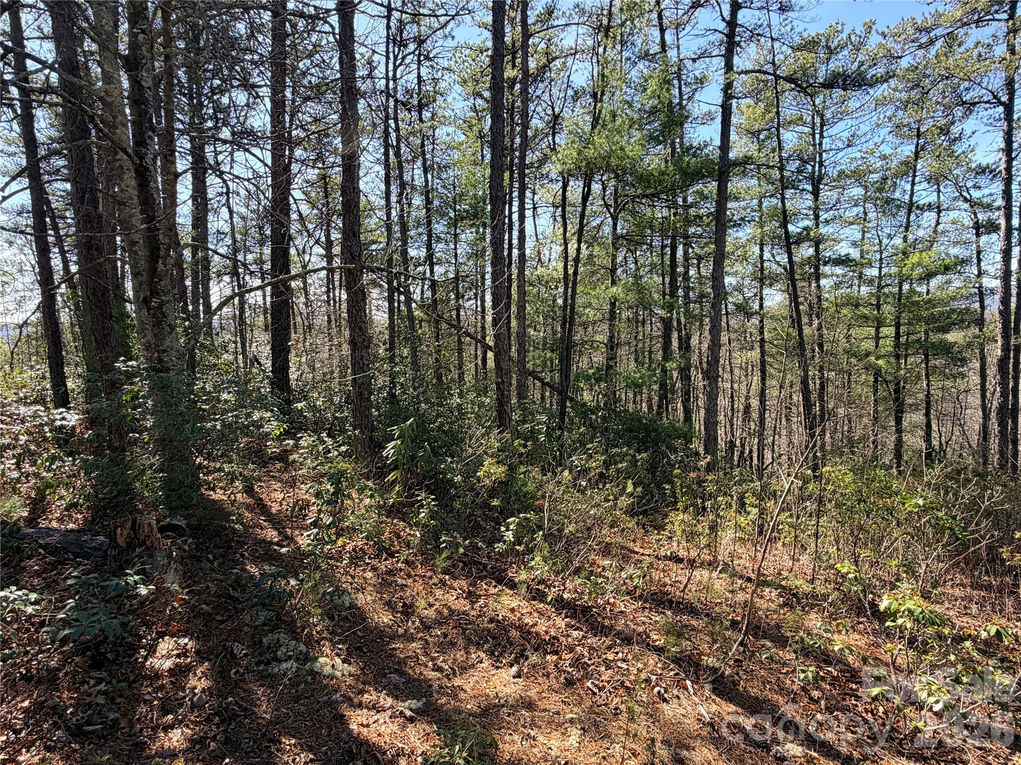 Tbd Hidden Creek Road, Unit 18 Deep Gap, NC 28618 - Photo 14 of 25 Gallery Image 14