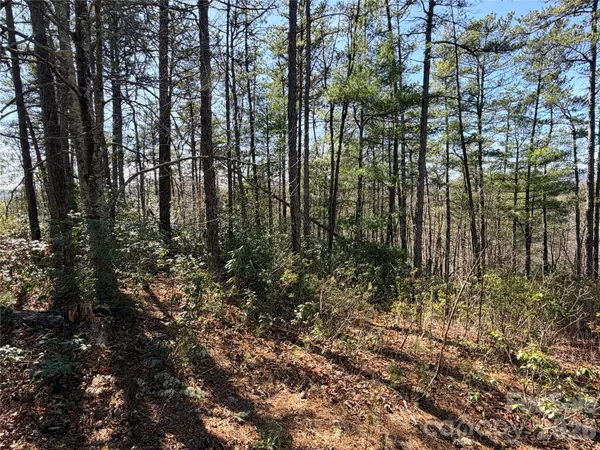 $149,900 | Tbd Hidden Creek Road, Unit 18, Deep Gap, NC 28618