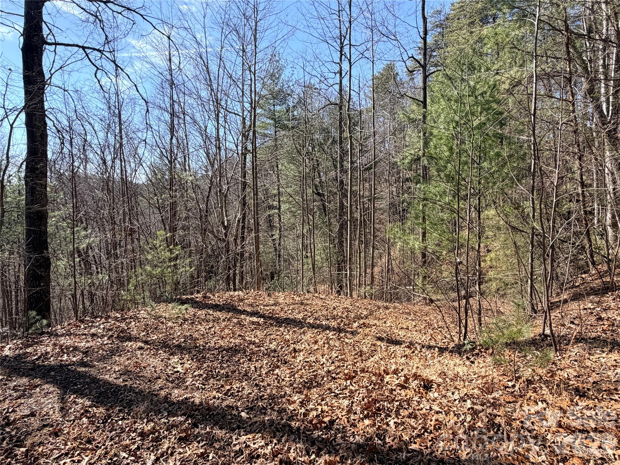 Tbd Hidden Creek Road, Unit 18 Deep Gap, NC 28618 - Photo 20 of 26