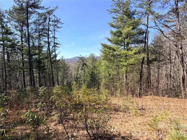 $149,900 | Tbd Hidden Creek Road, Unit 18, Deep Gap, NC 28618