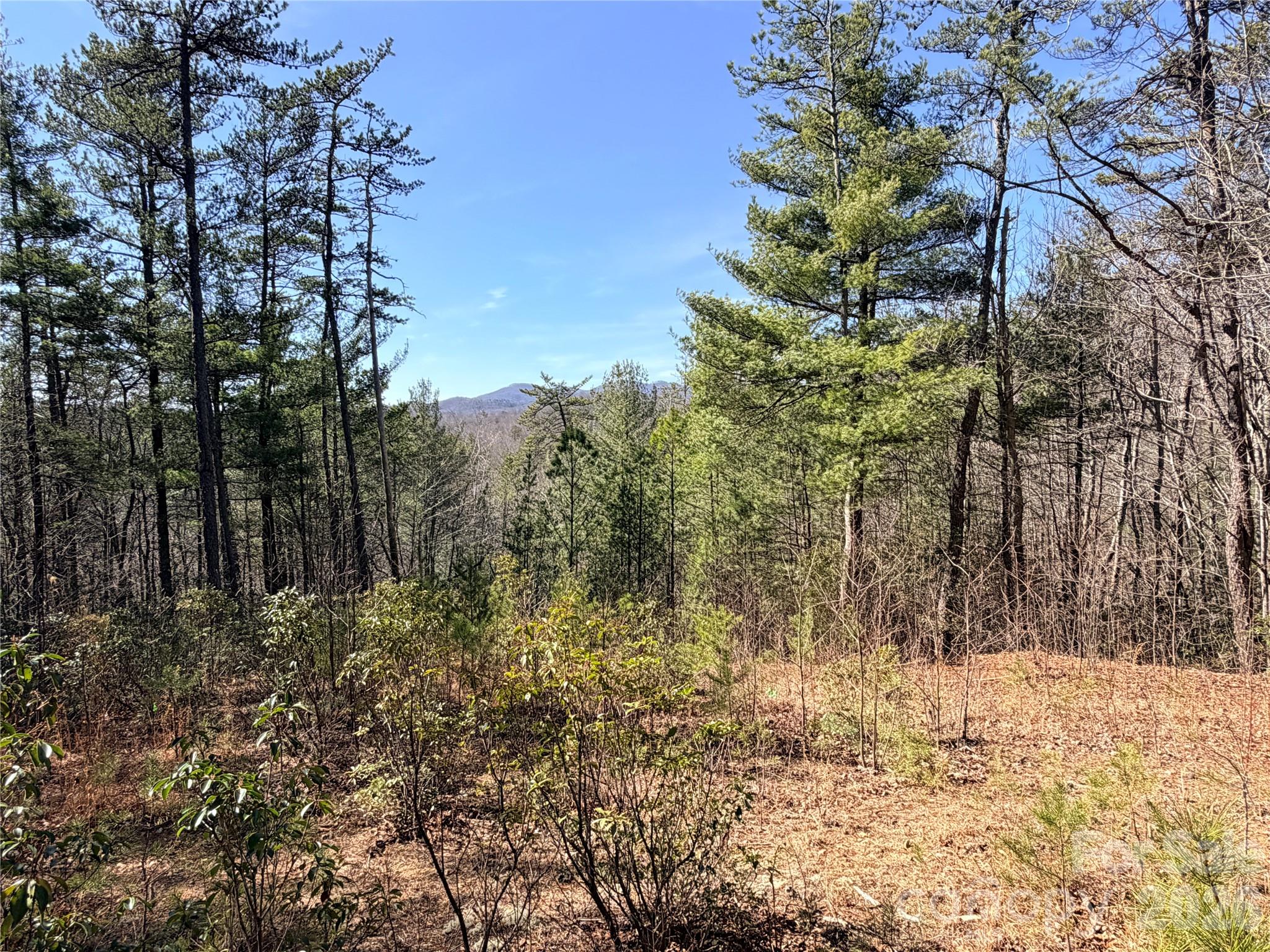 Tbd Hidden Creek Road, Unit 18 Deep Gap, NC 28618 - Photo 2 of 26