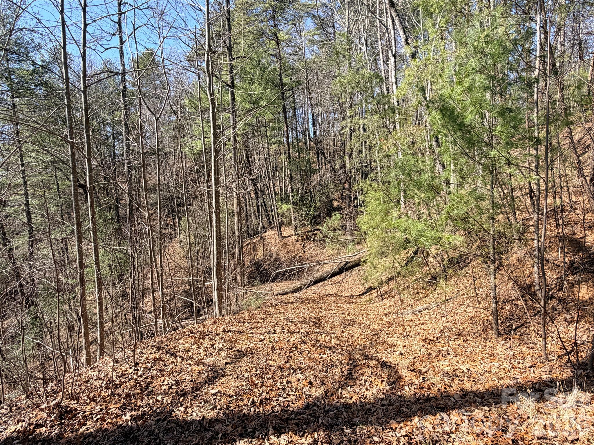 Tbd Hidden Creek Road, Unit 18 Deep Gap, NC 28618 - Photo 21 of 26