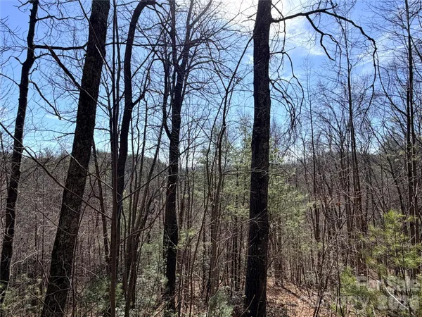 $149,900 | Tbd Hidden Creek Road, Unit 18, Deep Gap, NC 28618