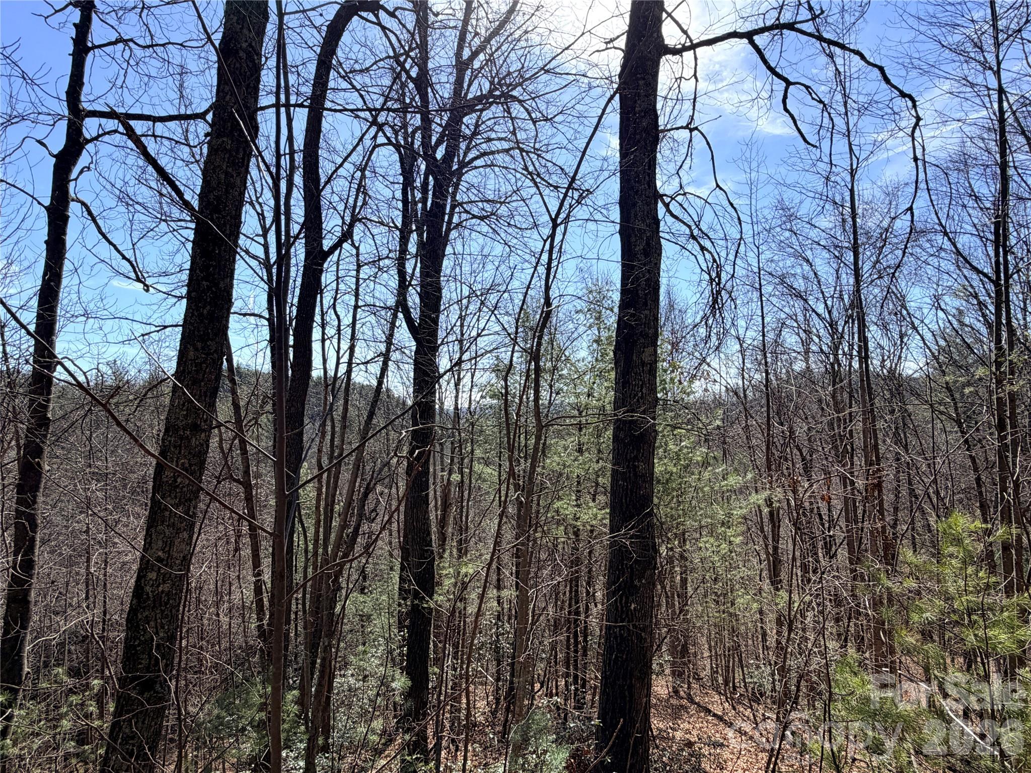 Tbd Hidden Creek Road, Unit 18 Deep Gap, NC 28618 - Photo 22 of 26