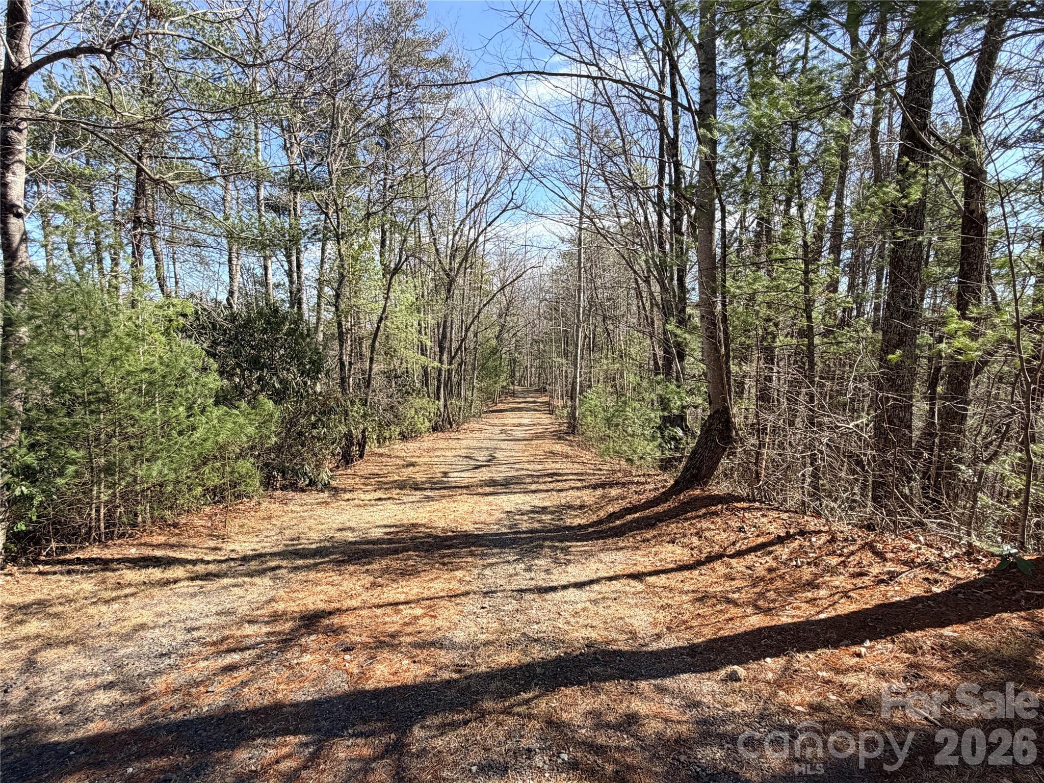 Tbd Hidden Creek Road, Unit 18 Deep Gap, NC 28618 - Photo 5 of 25 Gallery Image 5