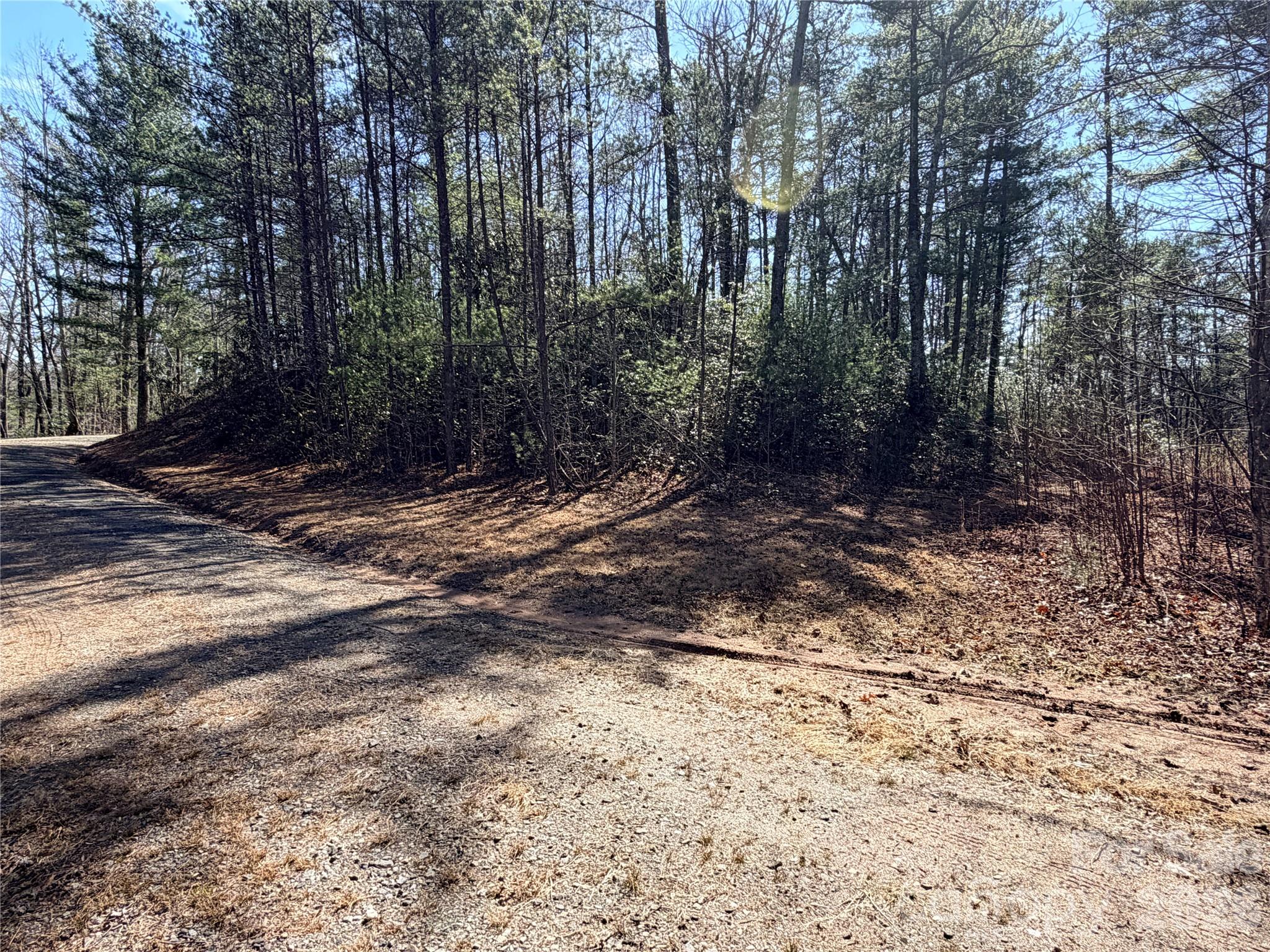 Tbd Hidden Creek Road, Unit 18 Deep Gap, NC 28618 - Photo 6 of 25 Gallery Image 6