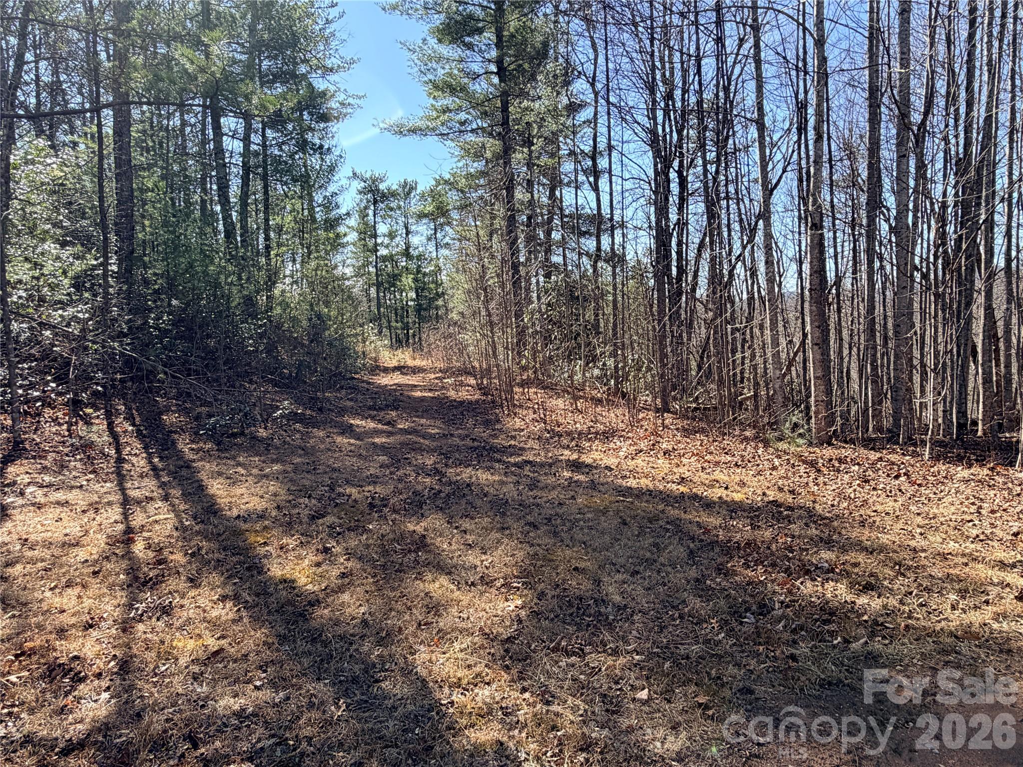 Tbd Hidden Creek Road, Unit 18 Deep Gap, NC 28618 - Photo 7 of 25 Gallery Image 7
