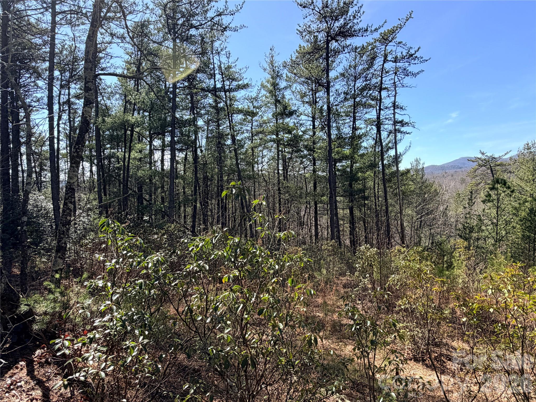 Tbd Hidden Creek Road, Unit 18 Deep Gap, NC 28618 - Photo 8 of 25 Gallery Image 8