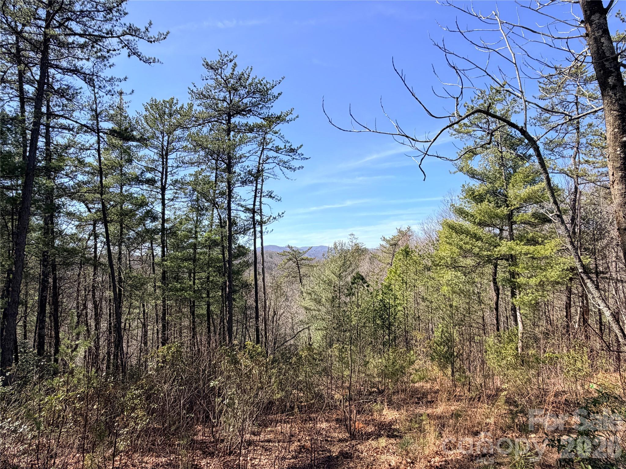 Tbd Hidden Creek Road, Unit 18 Deep Gap, NC 28618 - Photo 9 of 25 Gallery Image 9
