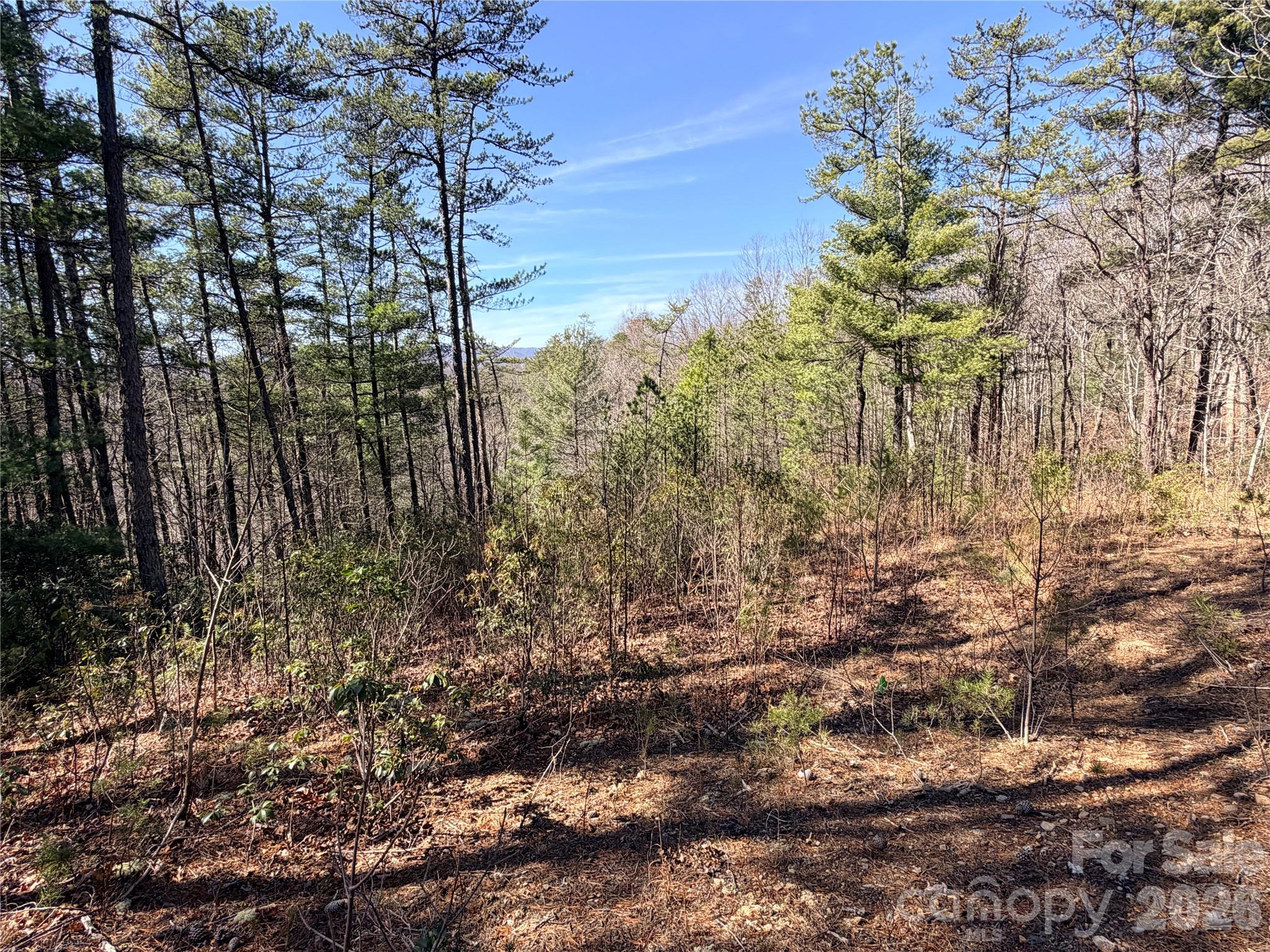 Tbd Hidden Creek Road, Unit 18 Deep Gap, NC 28618 - Photo 10 of 25 Gallery Image 10