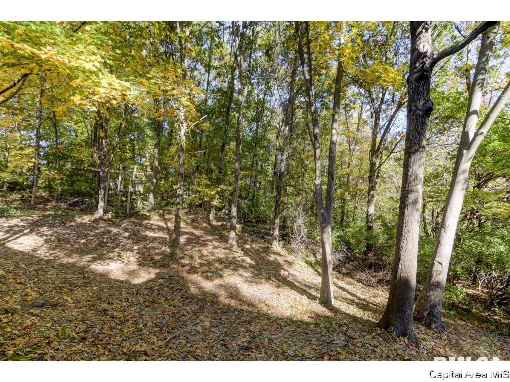 829 High Pointe Drive Springfield, IL 62702 - Photo 20 of 22