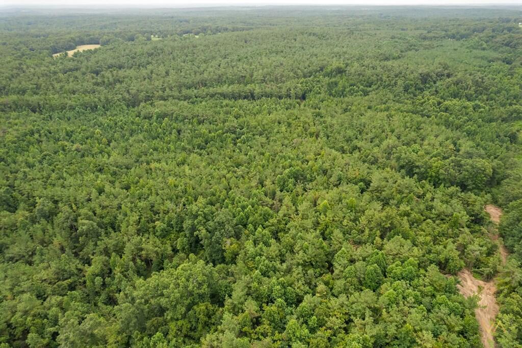 371 Tbd County Road Water Valley, MS 38965 - Photo 10 of 18 Gallery Image 10