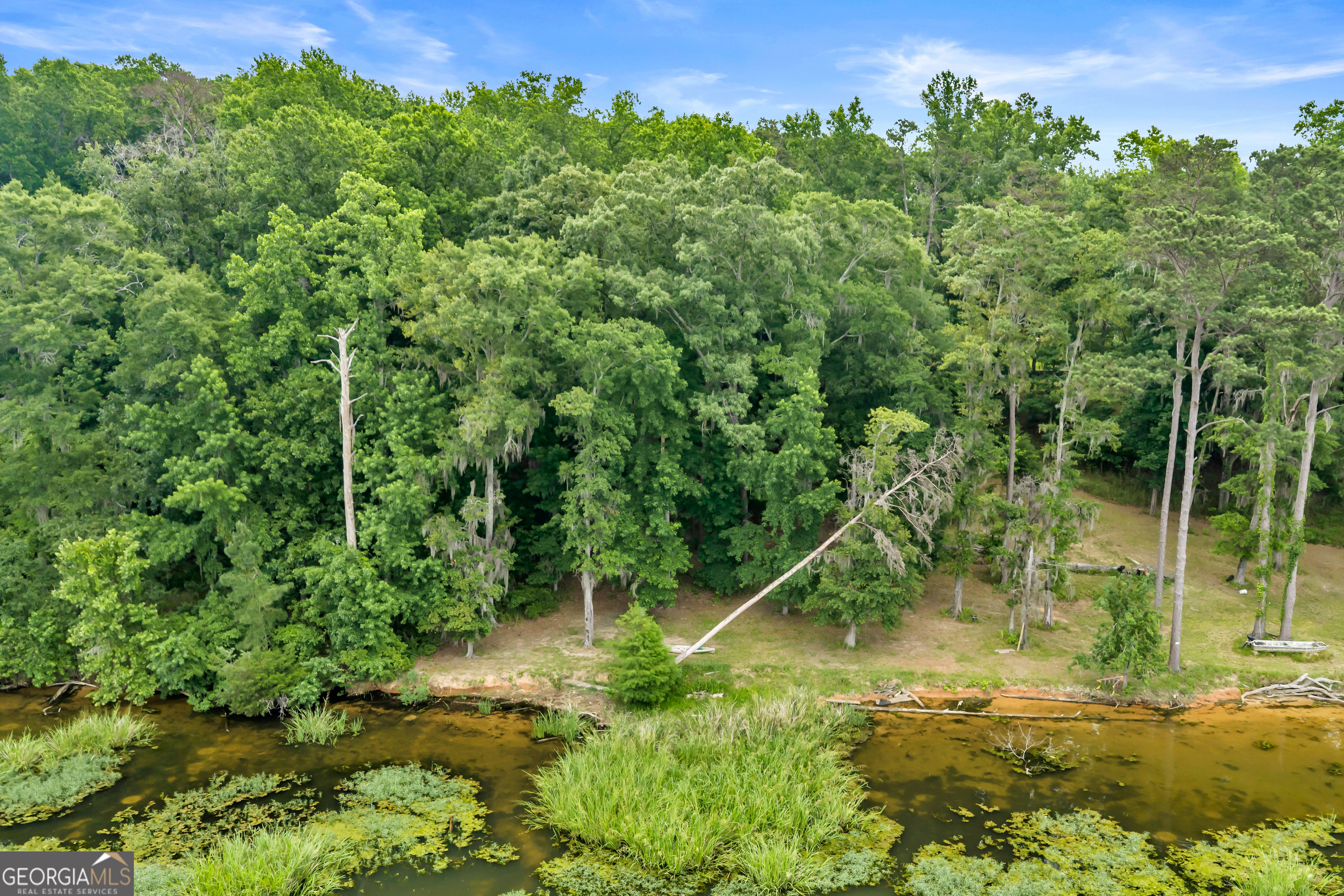 473 Vining Branch Road Georgetown, GA 39854 - Photo 28 of 43 a backyard of a house with lots of green space