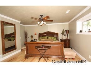 7257 New City Road Rochester, IL 62563 - Photo 13 of 22