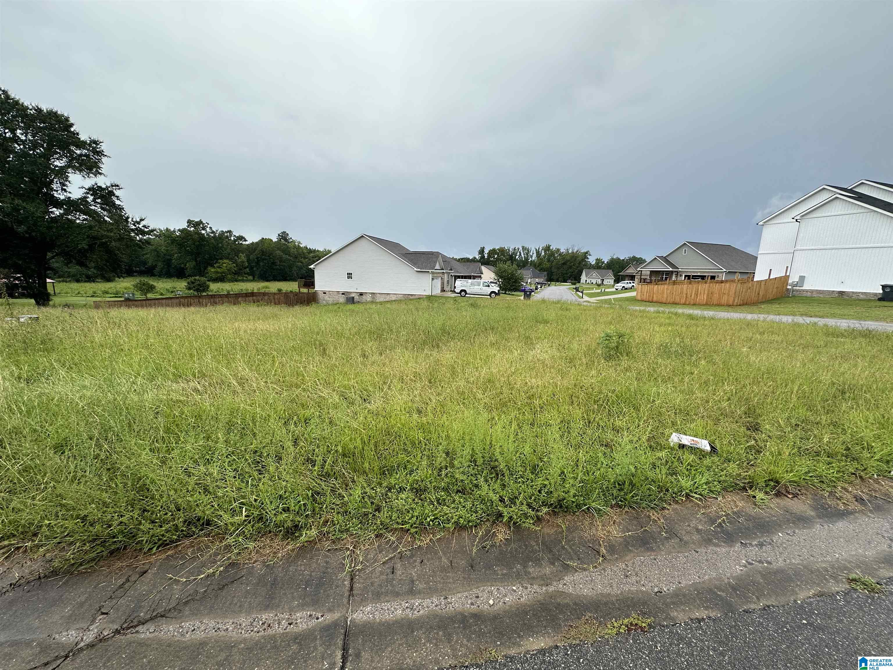0 Camerons Way, Unit 39 Lincoln, AL 35096 - Photo 2 of 6