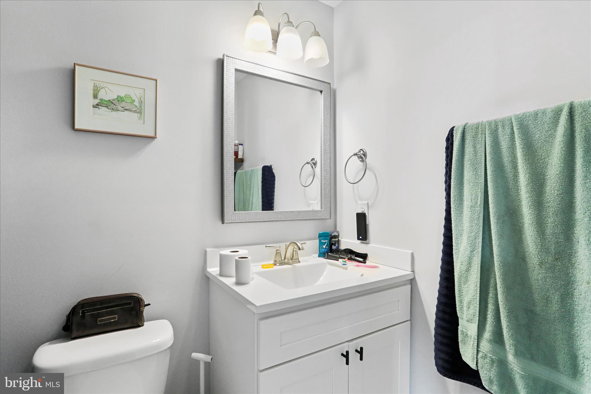 219 Summerfield Way Shenandoah Junction, WV 25442 - Photo 29 of 36 a bathroom with a sink a toilet and mirror