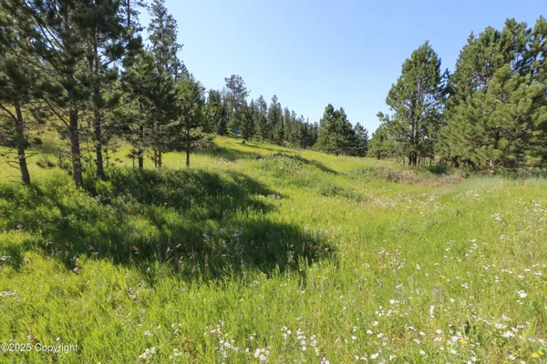 $1,100,000 | Tbd Tbd Reynolds Road, Sundance, WY 82729