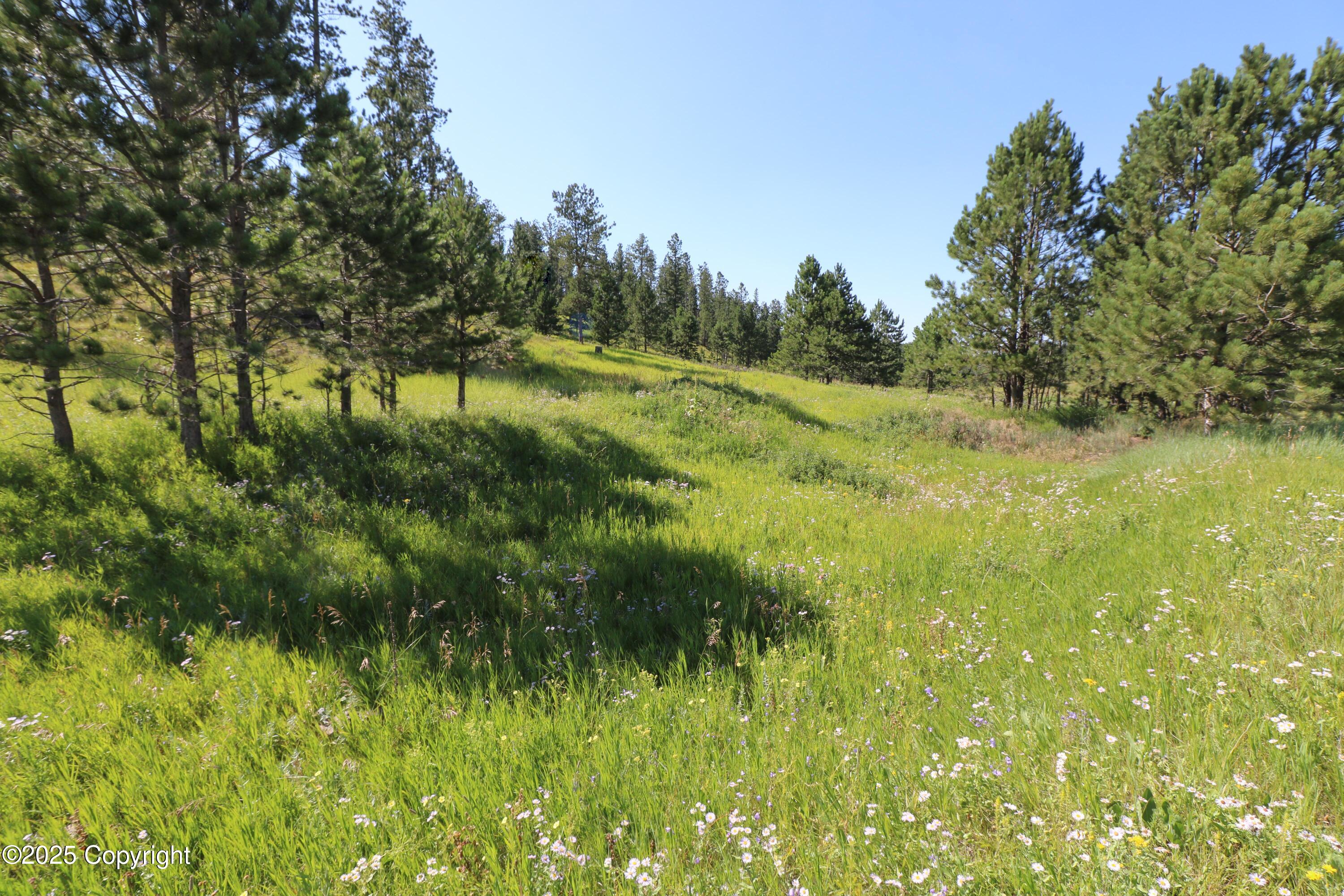 Tbd Tbd Reynolds Road Sundance, WY 82729 - Photo 1 of 53 Gallery Image 1