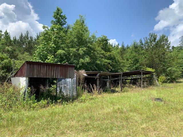 7470 Brooklyn Road Evergreen, AL 36401 - Photo 18 of 38