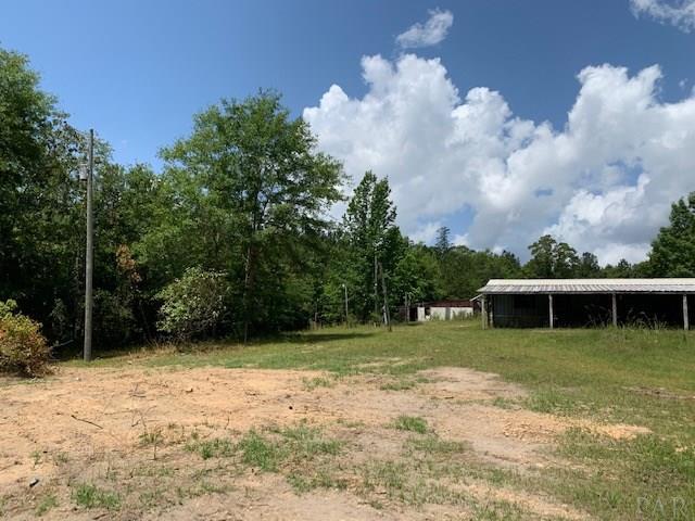7470 Brooklyn Road Evergreen, AL 36401 - Photo 19 of 38