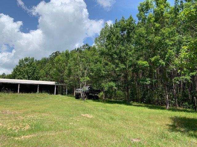 7470 Brooklyn Road Evergreen, AL 36401 - Photo 20 of 38