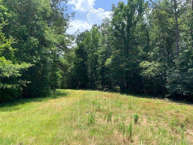 7470 Brooklyn Road Evergreen, AL 36401 - Photo 22 of 38