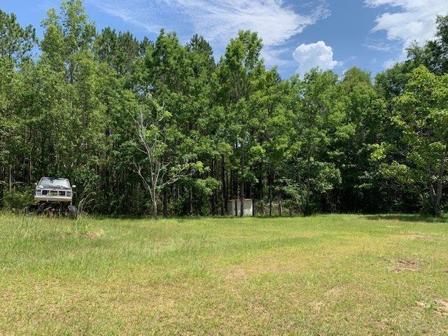 7470 Brooklyn Road Evergreen, AL 36401 - Photo 23 of 38