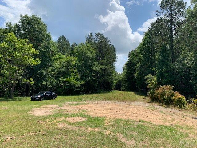 7470 Brooklyn Road Evergreen, AL 36401 - Photo 24 of 38