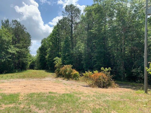 7470 Brooklyn Road Evergreen, AL 36401 - Photo 25 of 38