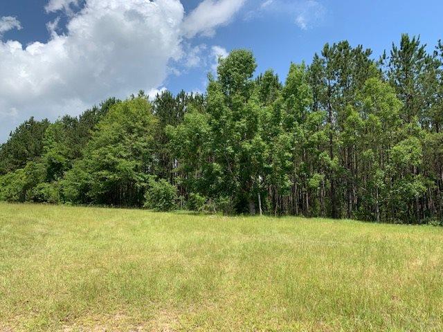 7470 Brooklyn Road Evergreen, AL 36401 - Photo 26 of 38