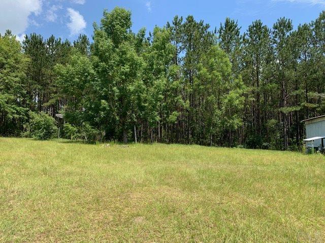 7470 Brooklyn Road Evergreen, AL 36401 - Photo 27 of 38