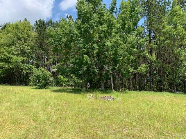 7470 Brooklyn Road Evergreen, AL 36401 - Photo 28 of 38
