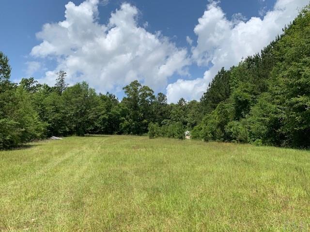 7470 Brooklyn Road Evergreen, AL 36401 - Photo 29 of 38